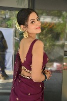 Lavanya Sharma Photos